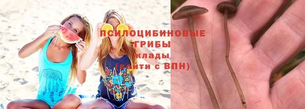 ПСИЛОЦИБИНОВЫЕ ГРИБЫ Россошь