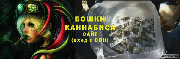 ПСИЛОЦИБИНОВЫЕ ГРИБЫ Россошь