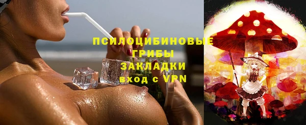 ПСИЛОЦИБИНОВЫЕ ГРИБЫ Россошь