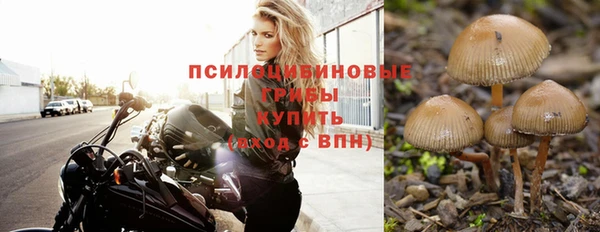 ПСИЛОЦИБИНОВЫЕ ГРИБЫ Россошь
