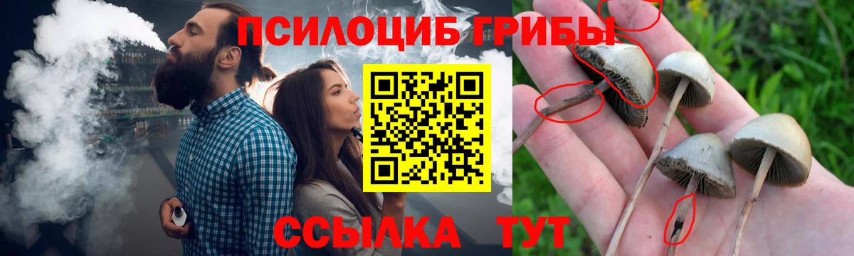 Тосно  Псилоцибиновые грибы Magic Shrooms  Вход с VPN 